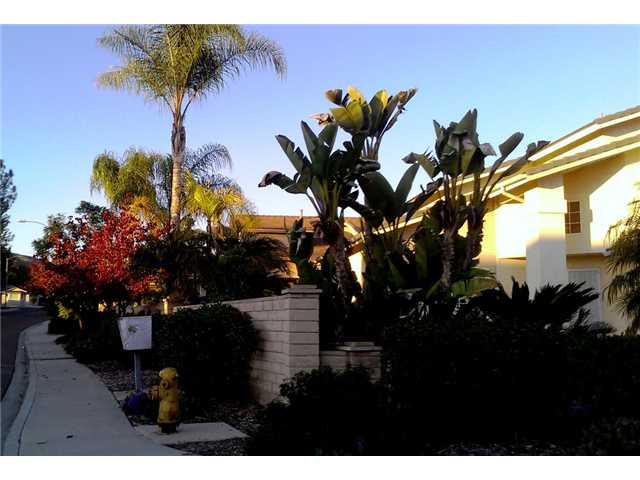 9950 Jill St, Santee, CA 92071 photo 4