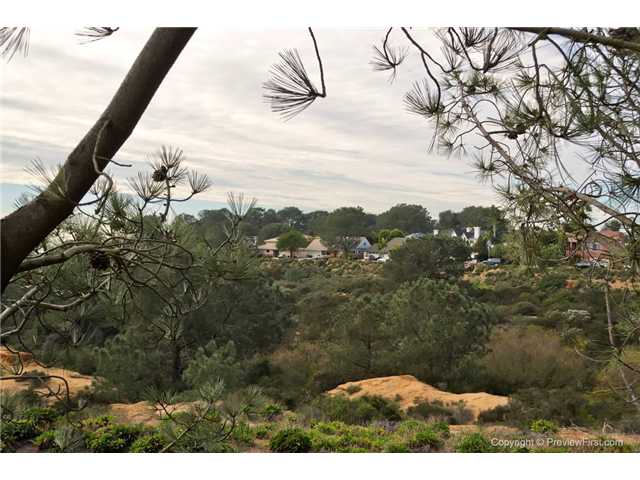 2411 Cordero Rd, Del Mar, CA 92014 photo 25