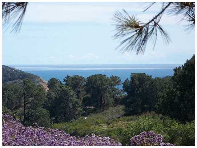 2411 Cordero Rd, Del Mar, CA 92014 photo 1