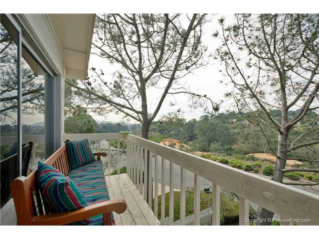 2411 Cordero Rd, Del Mar, CA 92014 photo 22