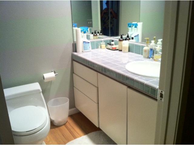 1733 Avenida La Posta, Encinitas, CA 92024 photo 9