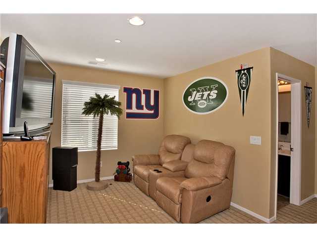 9802 Old Tree Ln, Santee, CA 92071 photo 6