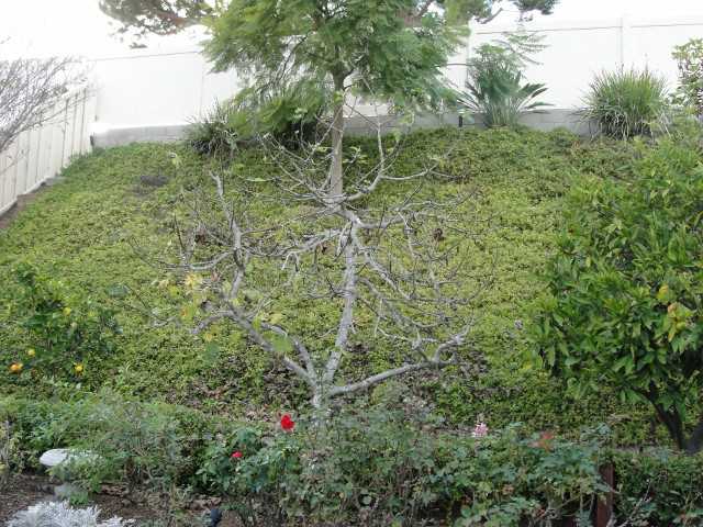 3547 S Sundown Ln, Oceanside, CA 92056 photo 11