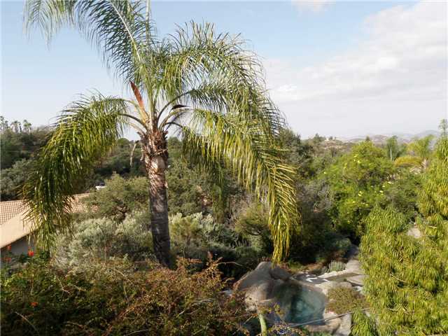 2177 Twisted Oak Ln, Alpine, CA 91901 photo 22