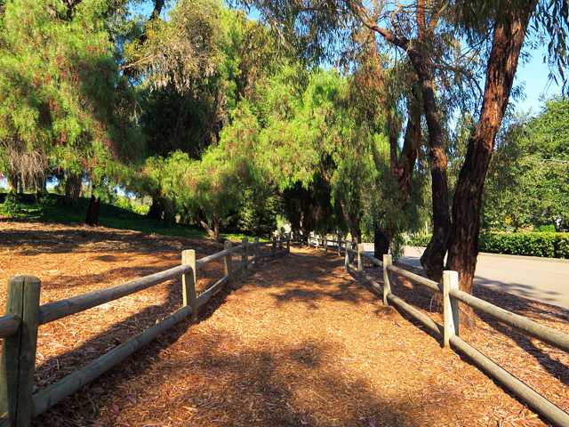 2145 13th St, Encinitas, CA 92024 photo 19