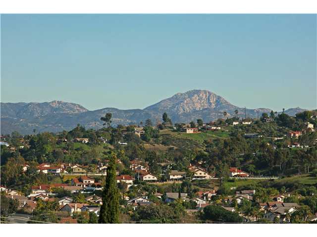 3542 Saddle Dr, Spring Valley, CA 91977 photo 22
