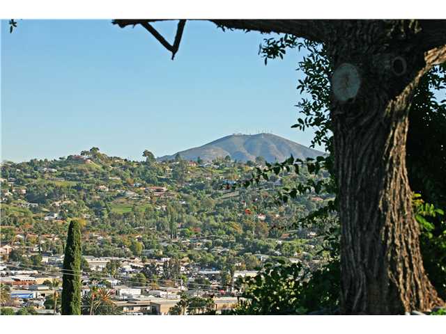 3542 Saddle Dr, Spring Valley, CA 91977 photo 21
