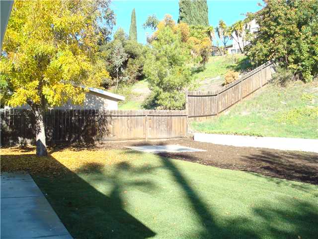 10067 Lake Canyon Ct, Santee, CA 92071 photo 22