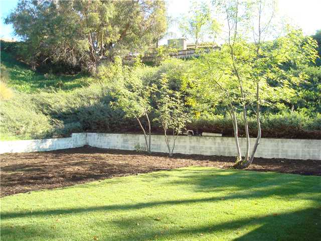 10067 Lake Canyon Ct, Santee, CA 92071 photo 21