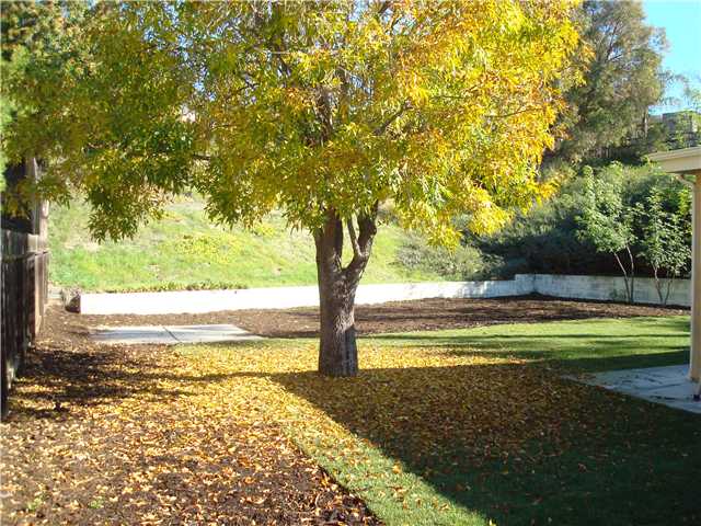 10067 Lake Canyon Ct, Santee, CA 92071 photo 24