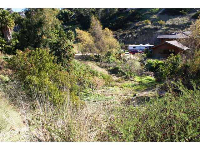 4343 Conrad Dr, La Mesa, CA 91941 photo 21