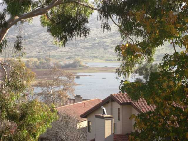 10015 Verbena Ln, Spring Valley, CA 91977 photo 7