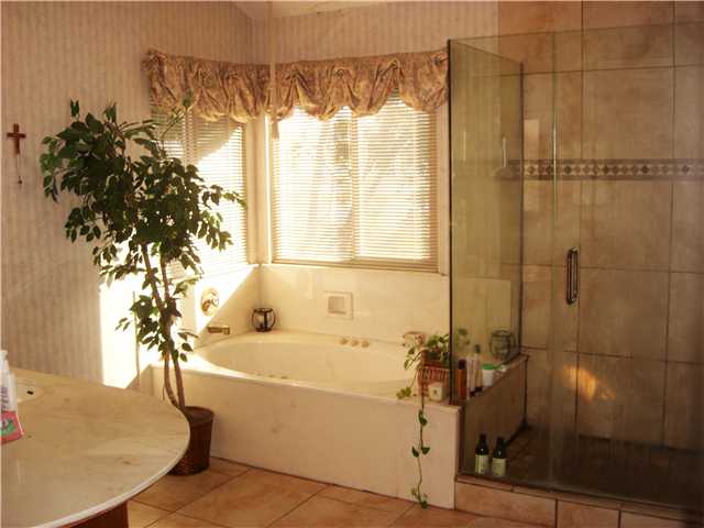 10015 Verbena Ln, Spring Valley, CA 91977 photo 6