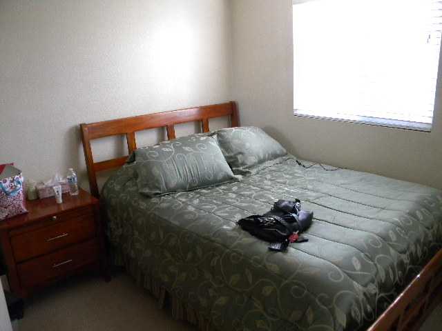 8343 Mesa View Way, Spring Valley, CA 91977 photo 17