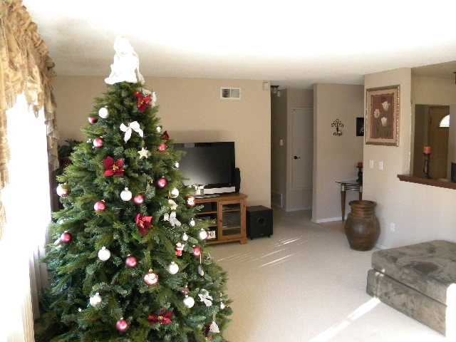 8343 Mesa View Way, Spring Valley, CA 91977 photo 9