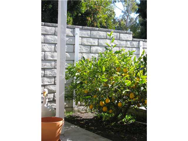 3578 Amber Ln, Oceanside, CA 92056 photo 11