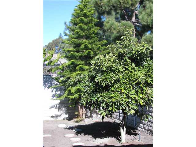 3578 Amber Ln, Oceanside, CA 92056 photo 12