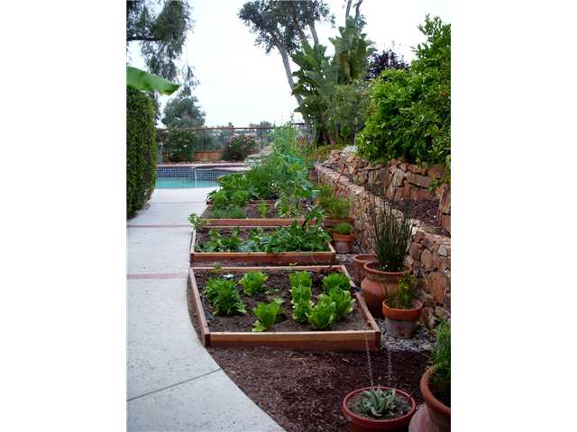 1431 Vanessa Cir, Encinitas, CA 92024 photo 15