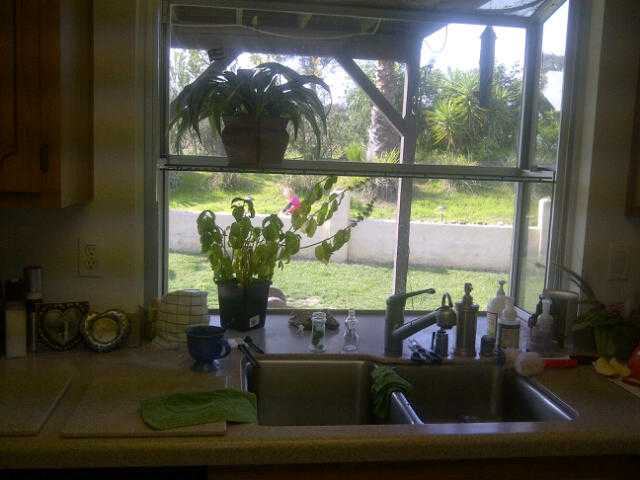 8901 Corte Quezada, Spring Valley, CA 91977 photo 6