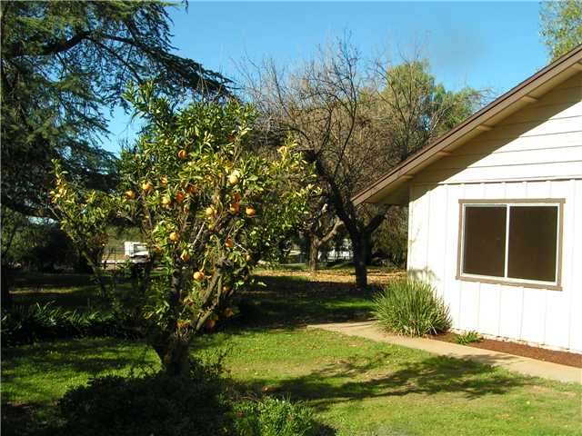 1702 Arnold Way, Alpine, CA 91901 photo 8