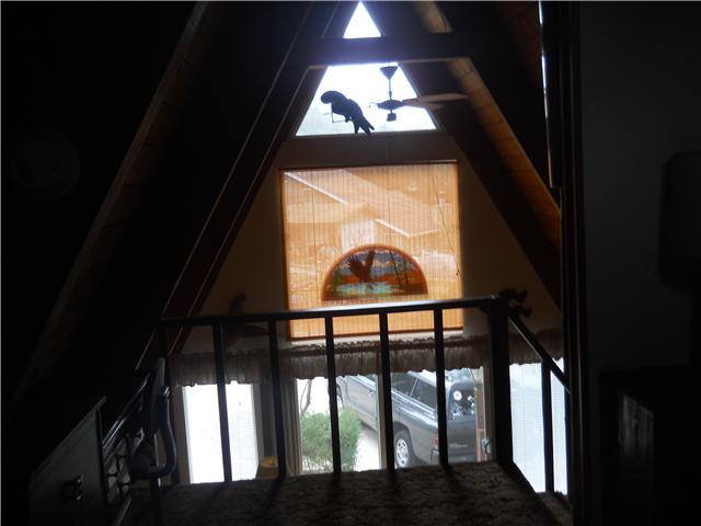 29405 Cacti Dr, Campo, CA 91906 photo 7