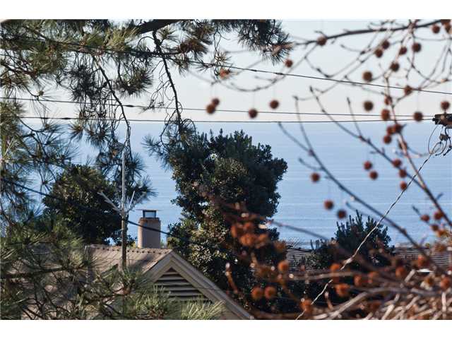 1237 Cuchara, Del Mar, CA 92014 photo 2