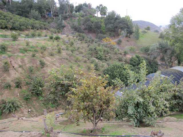 275 Stewart Canyon Rd, Fallbrook, CA 92028 photo 11