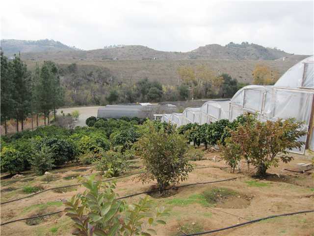 275 Stewart Canyon Rd, Fallbrook, CA 92028 photo 12