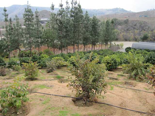 275 Stewart Canyon Rd, Fallbrook, CA 92028 photo 13