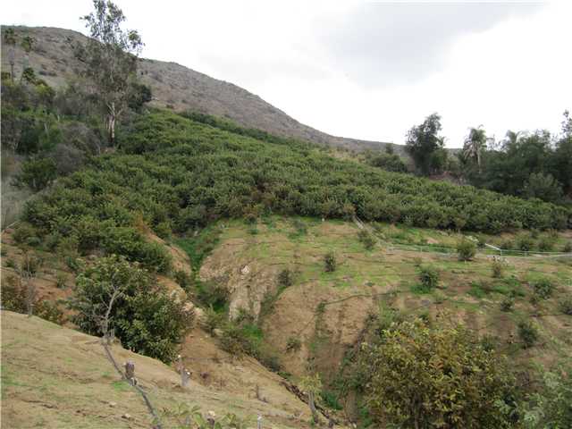 275 Stewart Canyon Rd, Fallbrook, CA 92028 photo 10