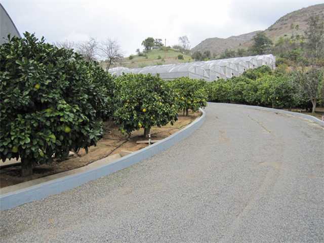 275 Stewart Canyon Rd, Fallbrook, CA 92028 photo 2