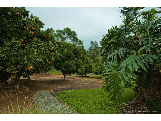 5021 Sleeping Indian Rd, Fallbrook, CA 92028 photo 14