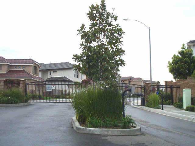 5523 Foxtail Loop, Carlsbad, CA 92010 photo 13