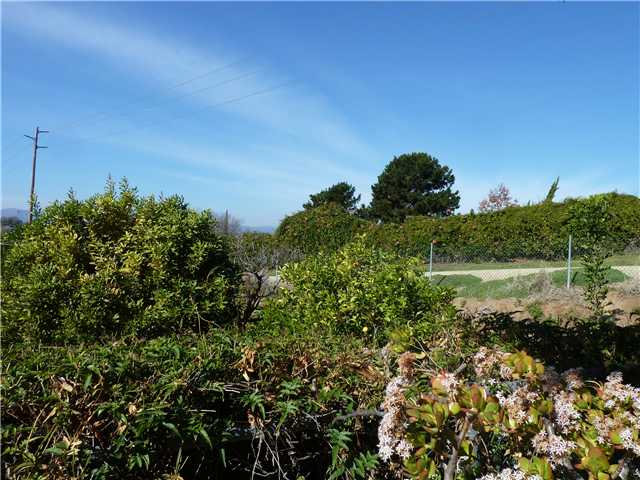 913 Ridge Heights Dr, Fallbrook, CA 92028 photo 4