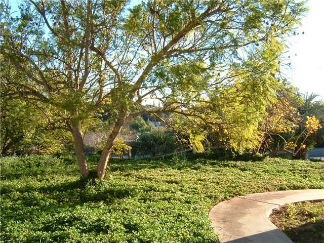 790 Pizzo Ln, Fallbrook, CA 92028 photo 9