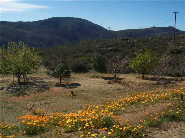 6187 Alpine Blvd, Alpine, CA 91901 photo 5