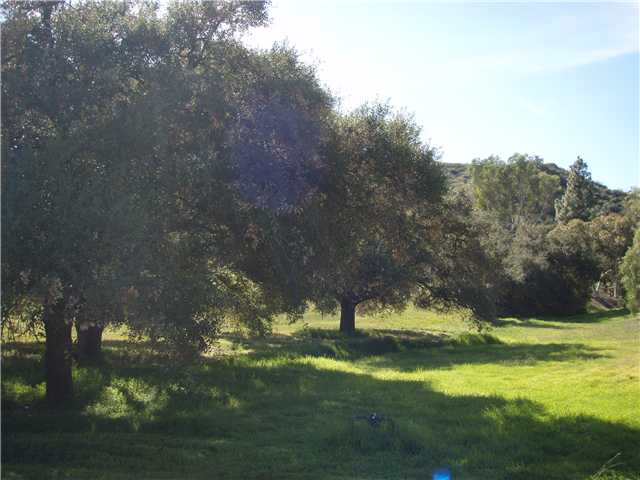 35206 Rice Canyon Rd, Fallbrook, CA 92028 photo 9
