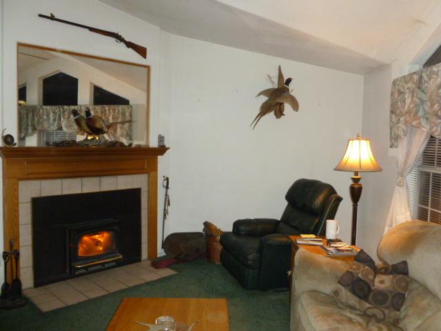 8424 Valley View Trl, Pine Valley, CA 91962 photo 2