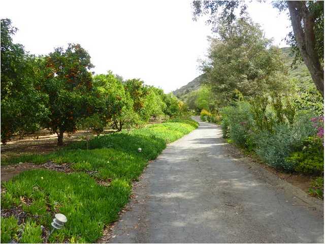 481 Skyline Cir, Fallbrook, CA 92028 photo 22
