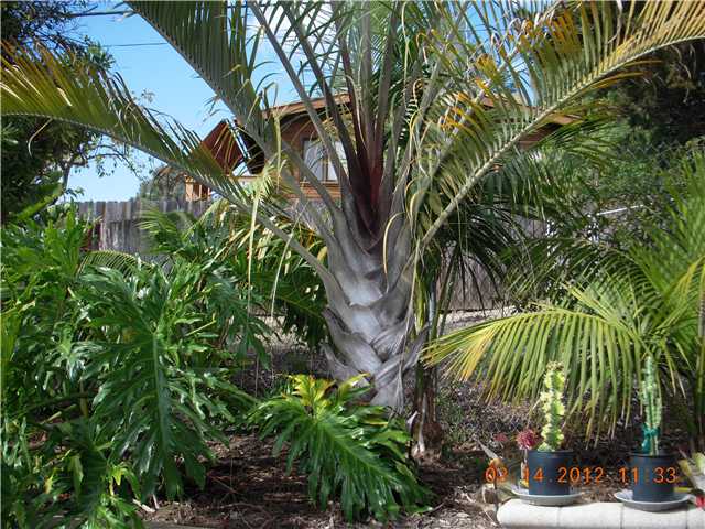 145 Ryan Way, Oceanside, CA 92054 photo 20