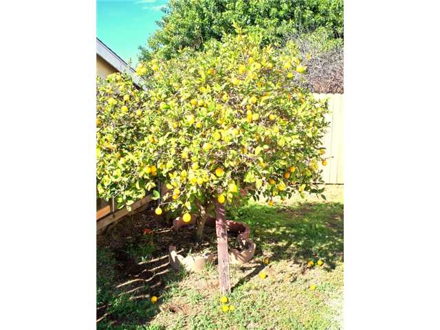 8733 Railroad Ave, Santee, CA 92071 photo 7