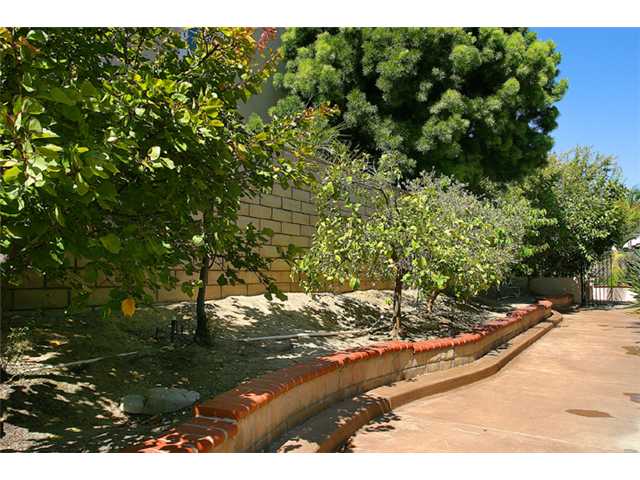 6735 Lemon Leaf Dr, Carlsbad, CA 92011 photo 20