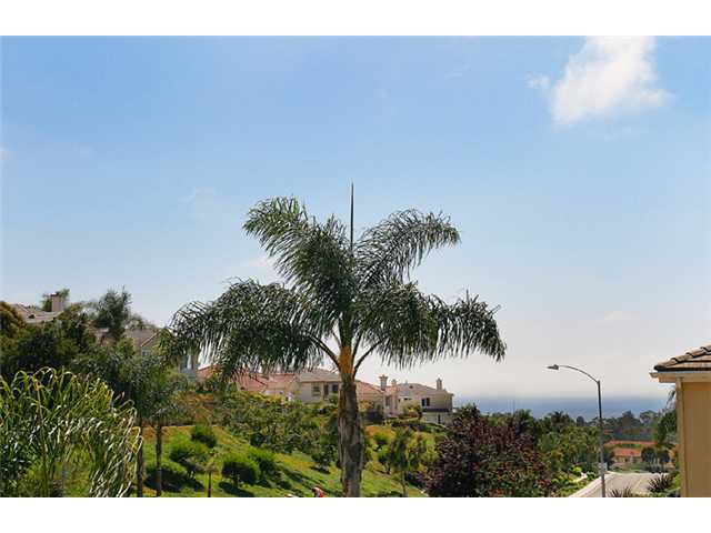 6735 Lemon Leaf Dr, Carlsbad, CA 92011 photo 22