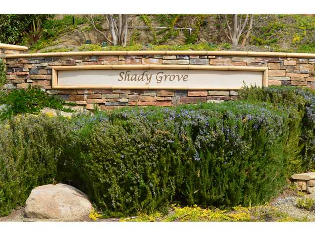 336 Tom Mcguinness Jr Cir, Fallbrook, CA 92028 photo 18