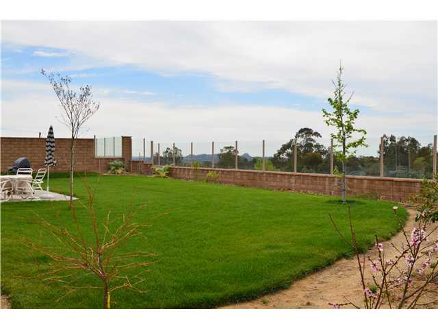 336 Tom Mcguinness Jr Cir, Fallbrook, CA 92028 photo 4