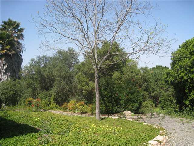 1660 Camino De Nog, Fallbrook, CA 92028 photo 4