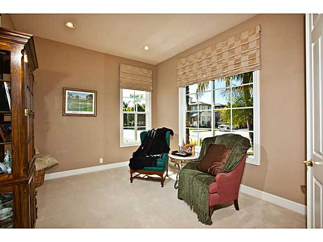 603 Cypress Hills Dr, Encinitas, CA 92024 photo 15