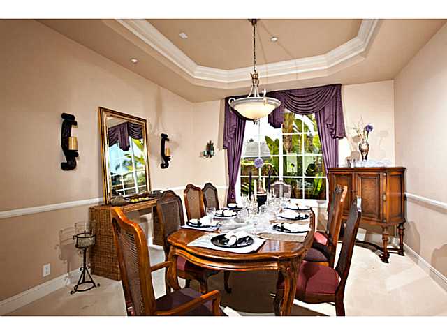 603 Cypress Hills Dr, Encinitas, CA 92024 photo 16