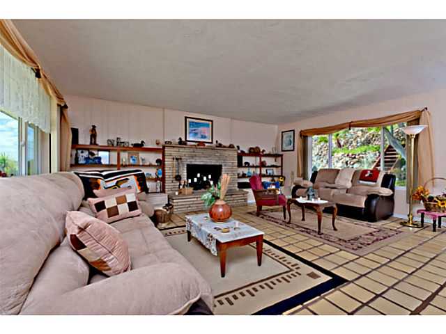 10306 Challenge Blvd, La Mesa, CA 91941 photo 5
