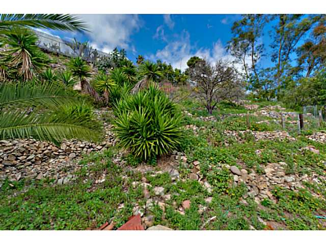 10306 Challenge Blvd, La Mesa, CA 91941 photo 24